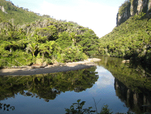 Punakaiki - Porari River Due to the mountains and rivers being comparably young - photo 7