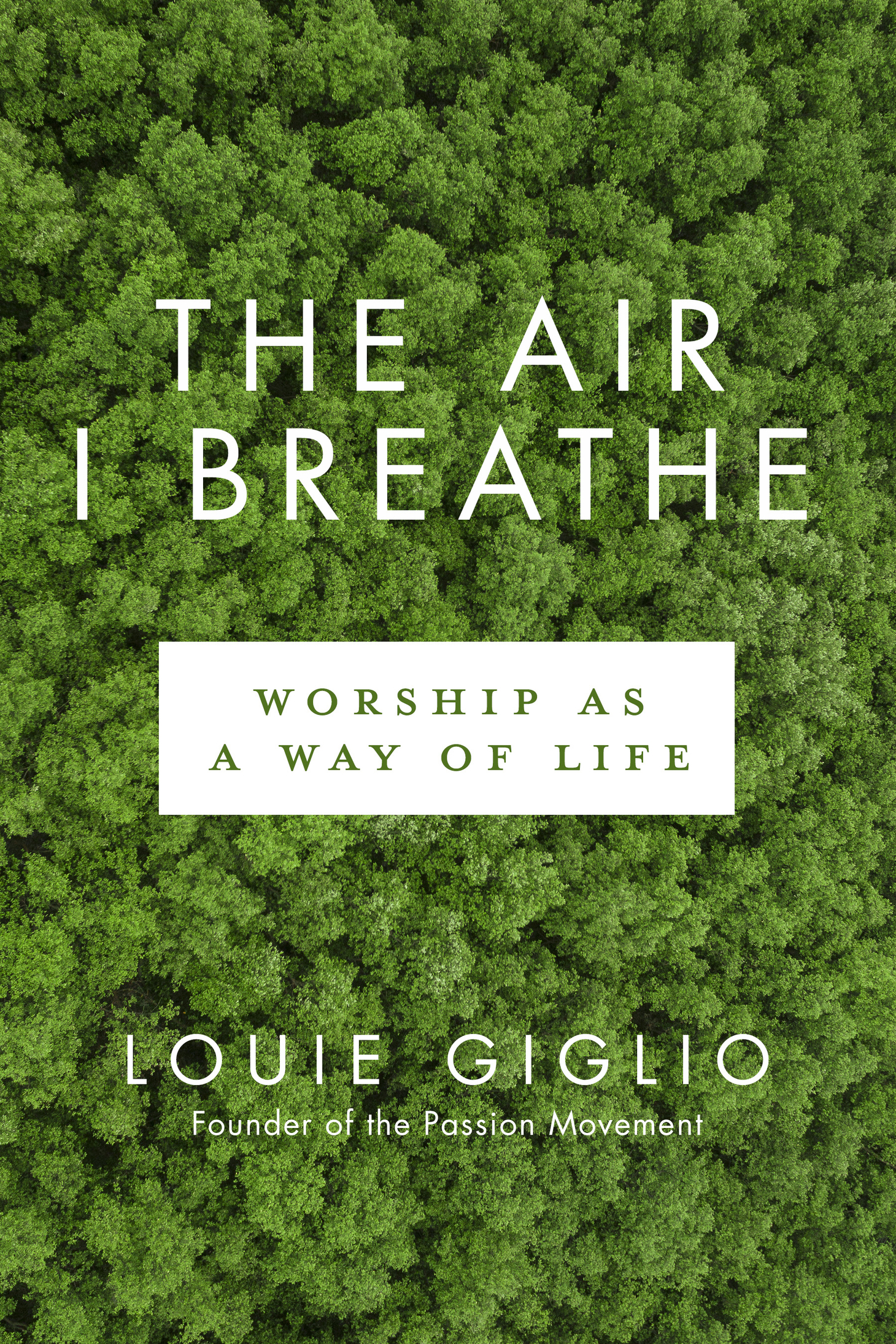 At last Louie Giglio has put into print the message God birthed in him years - photo 1