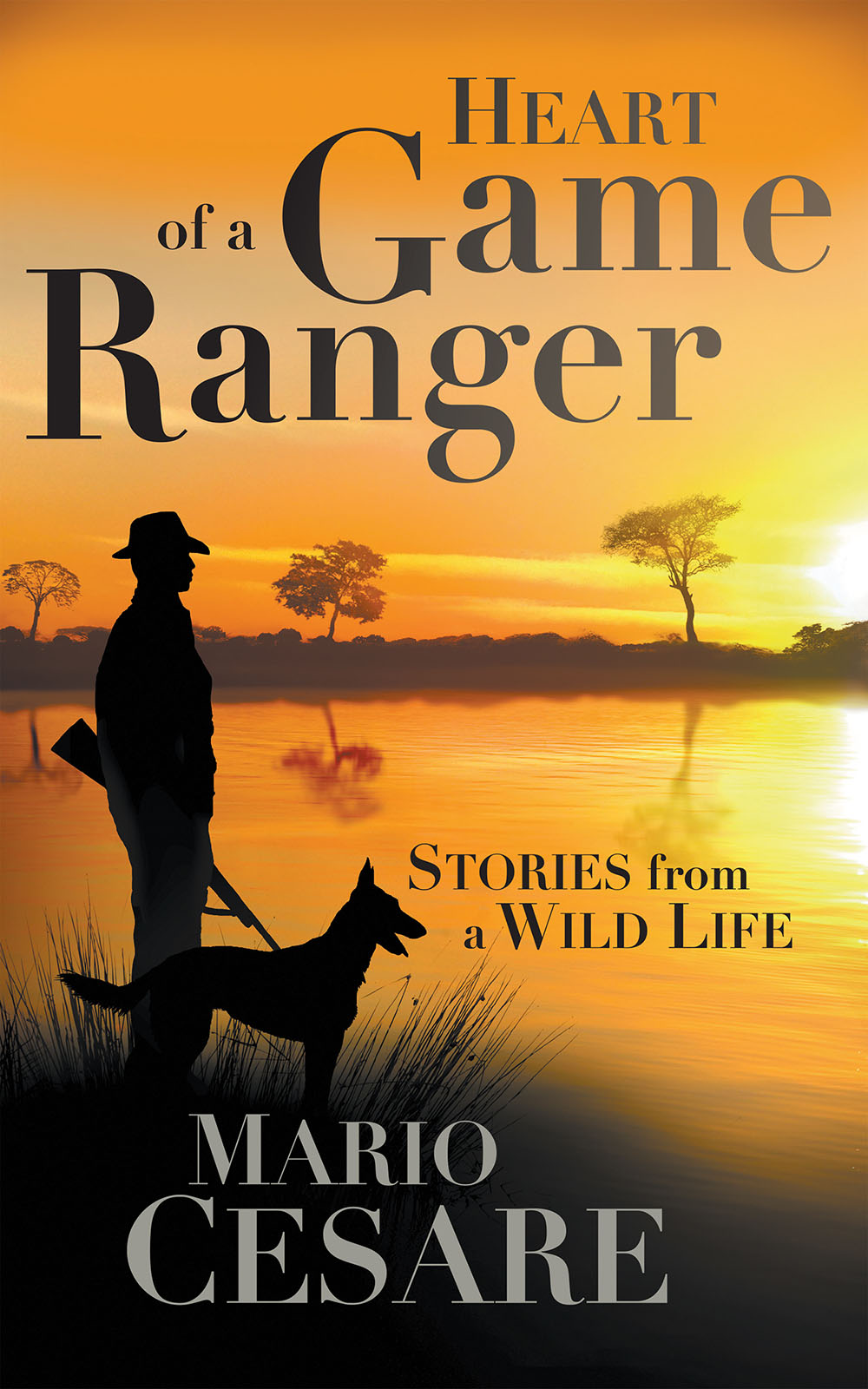 HEART OF A GAME RANGER Stories from a Wild Life MARIO CESARE Jonathan Ball - photo 1