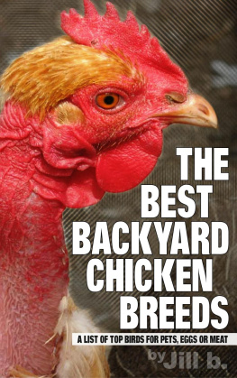 Jill b. The Best Backyard Chicken Breeds: A List of Top Birds for Pets, Eggs and Meat