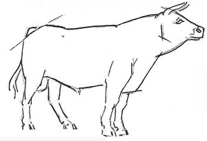 Jersey calves This sketch was treated with a bold pencil technique in order - photo 23