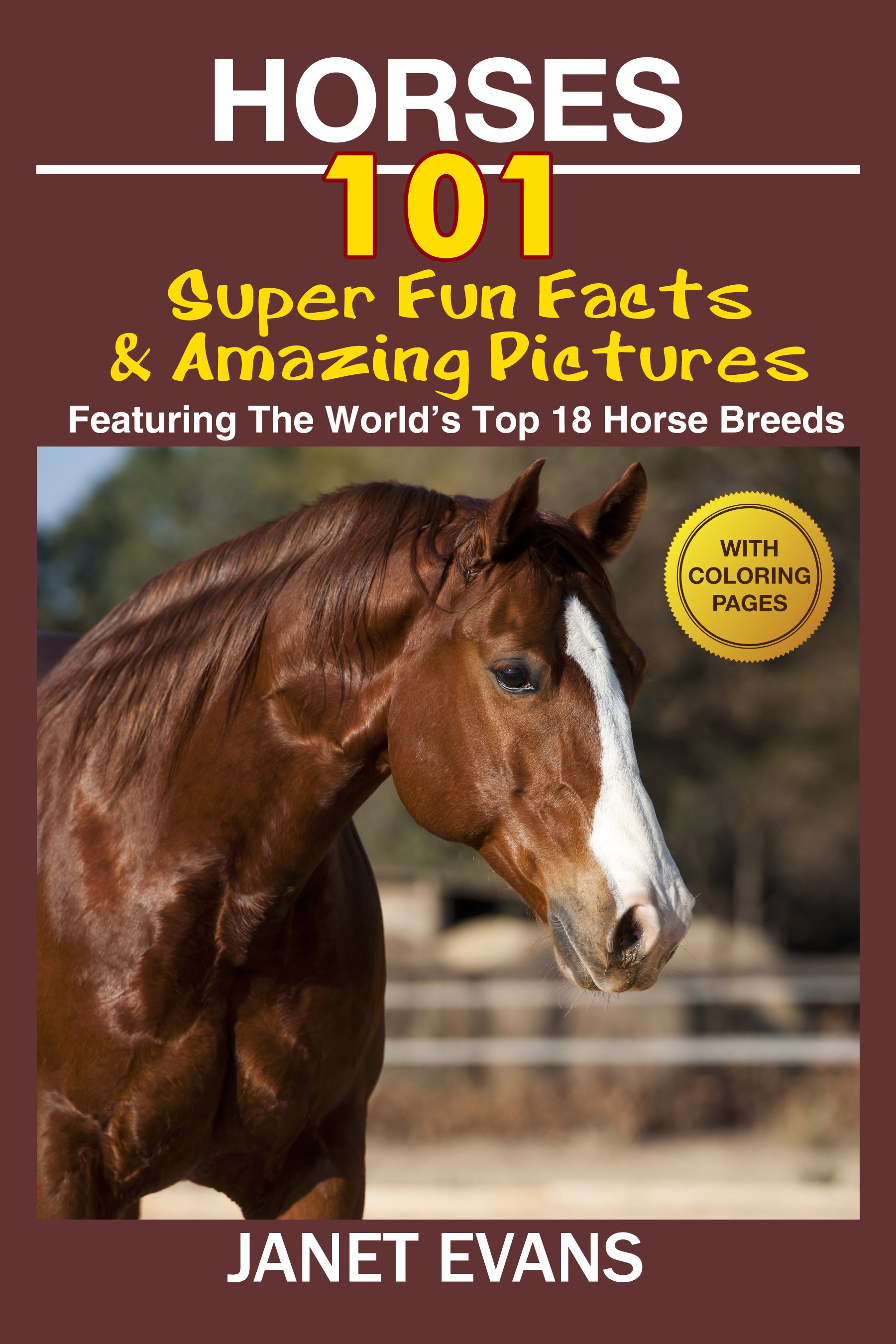 Horse s 101 Super Fun Facts And Amazing Pictures Featuring The Worlds - photo 1