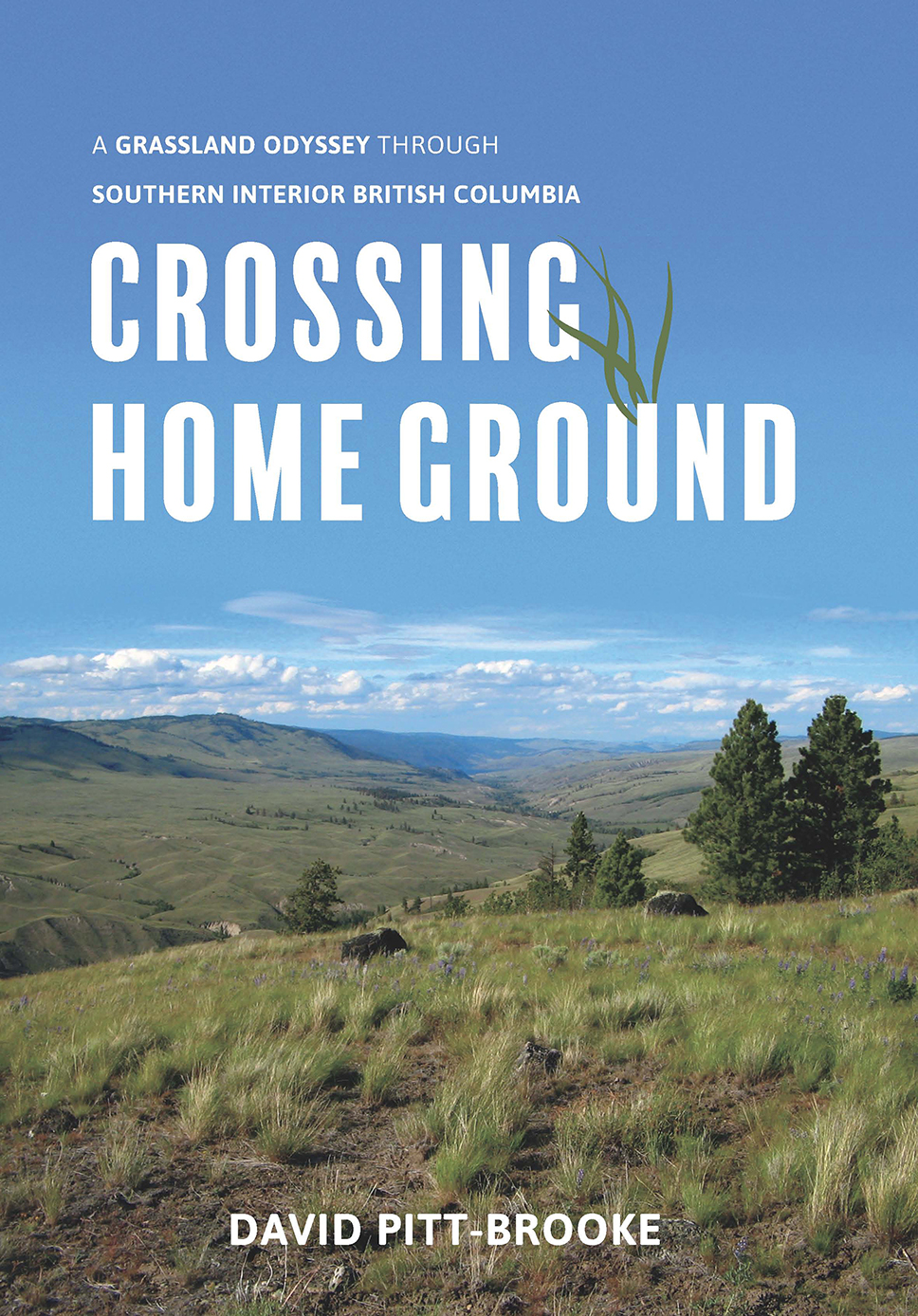 Crossing Home Ground Crossing Home Ground A Grassland Odyssey through Southern - photo 1