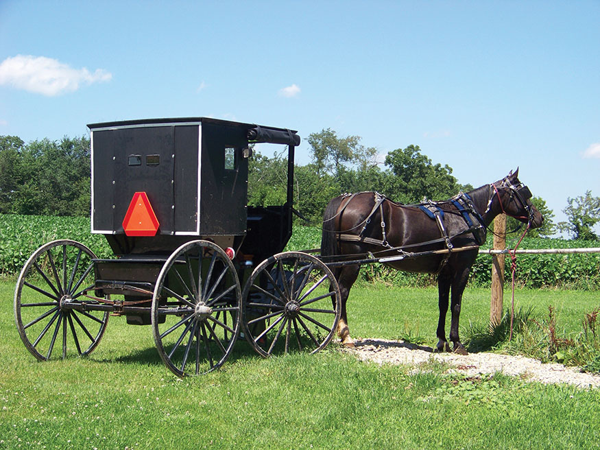 Amish horse and buggy Steeped in a bygone era the Amish are known for their - photo 3