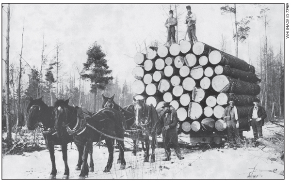 A horse-drawn lumber sled loaded with logs the fire and went to bed early - photo 8