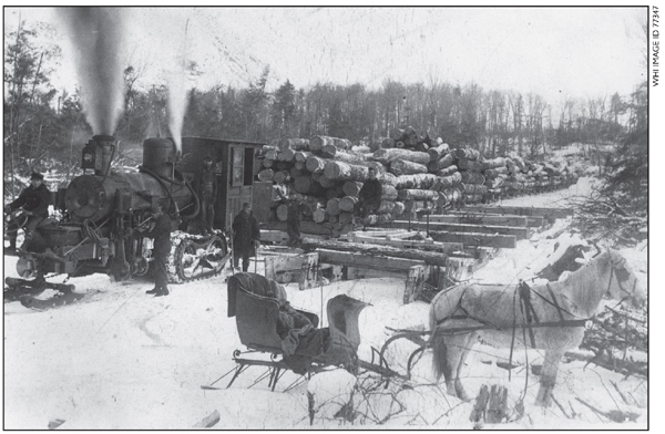 A lumber crew poses with a steam hauler and sleds loaded with logs John - photo 10