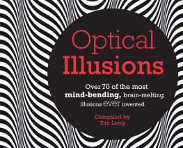 Tim Leng - Optical Illusions: Over 80 of the most mind-bending, brain-melting illusions ever invented