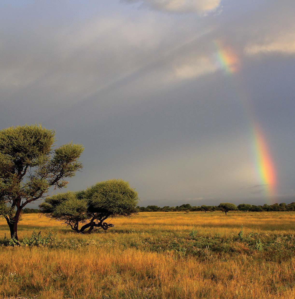 Botswana is known for its picturesque landscapes Beautiful sunsets are a daily - photo 1