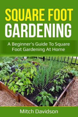 Mitch Davidson Square Foot Gardening: A Beginners Guide to Square Foot Gardening at Home