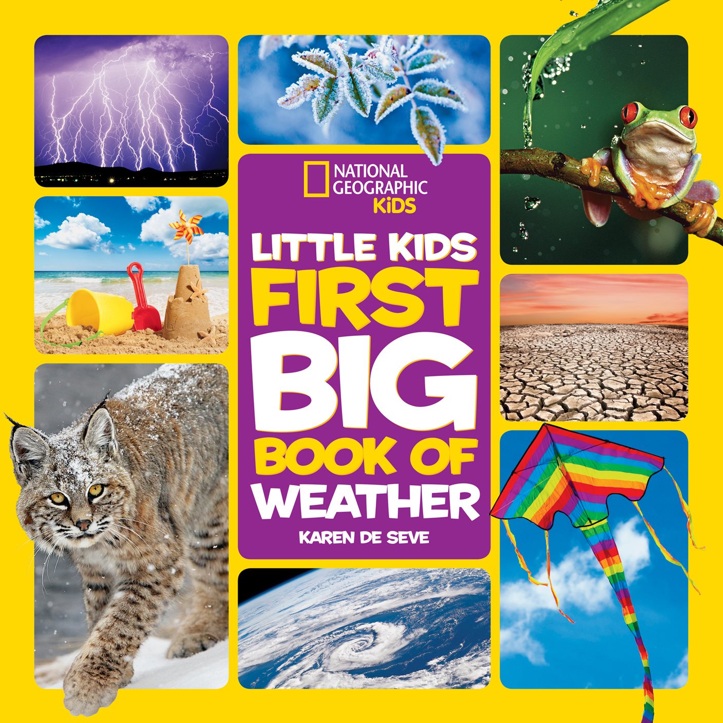 National Geographic Little Kids First Big Book of Weather - photo 1