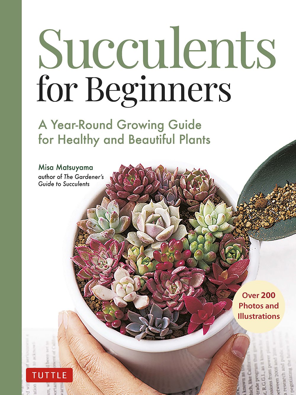 Table of Contents Guide Succulents for Beginners A Year-Round Growing Guide - photo 1