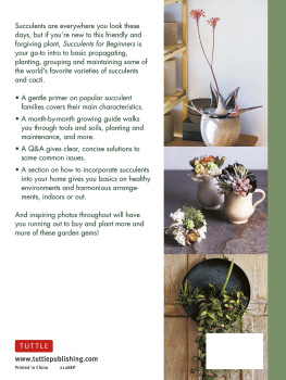 Misa Matsuyama - Succulents for Beginners: A Year-Round Growing Guide for Healthy and Beautiful Plants (over 200 Photos and Illustrations)