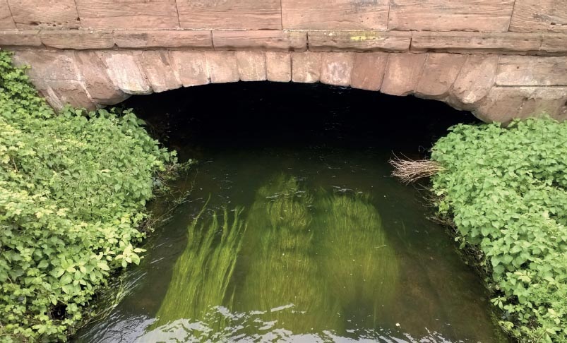 6th May The sandstone bridge at Shenstone the weed waving like mermaids hair - photo 10