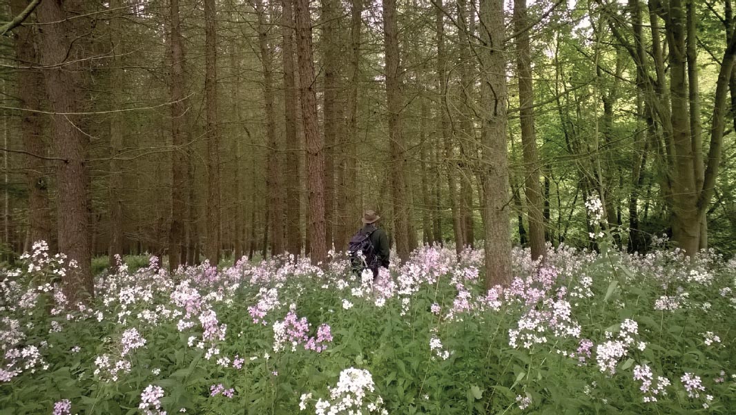 15th June A beautiful place to get lost the Eden valley Gina Waggott N o - photo 25