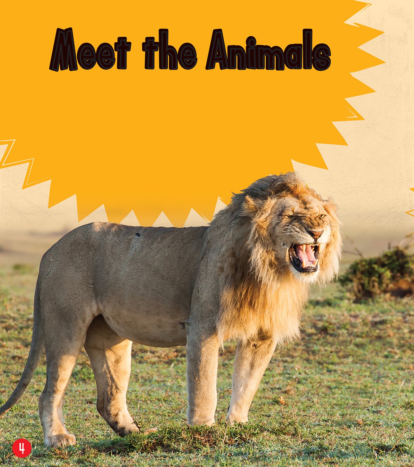 Meet the Animals What has a mane and a loud roar Its the African lion - photo 5