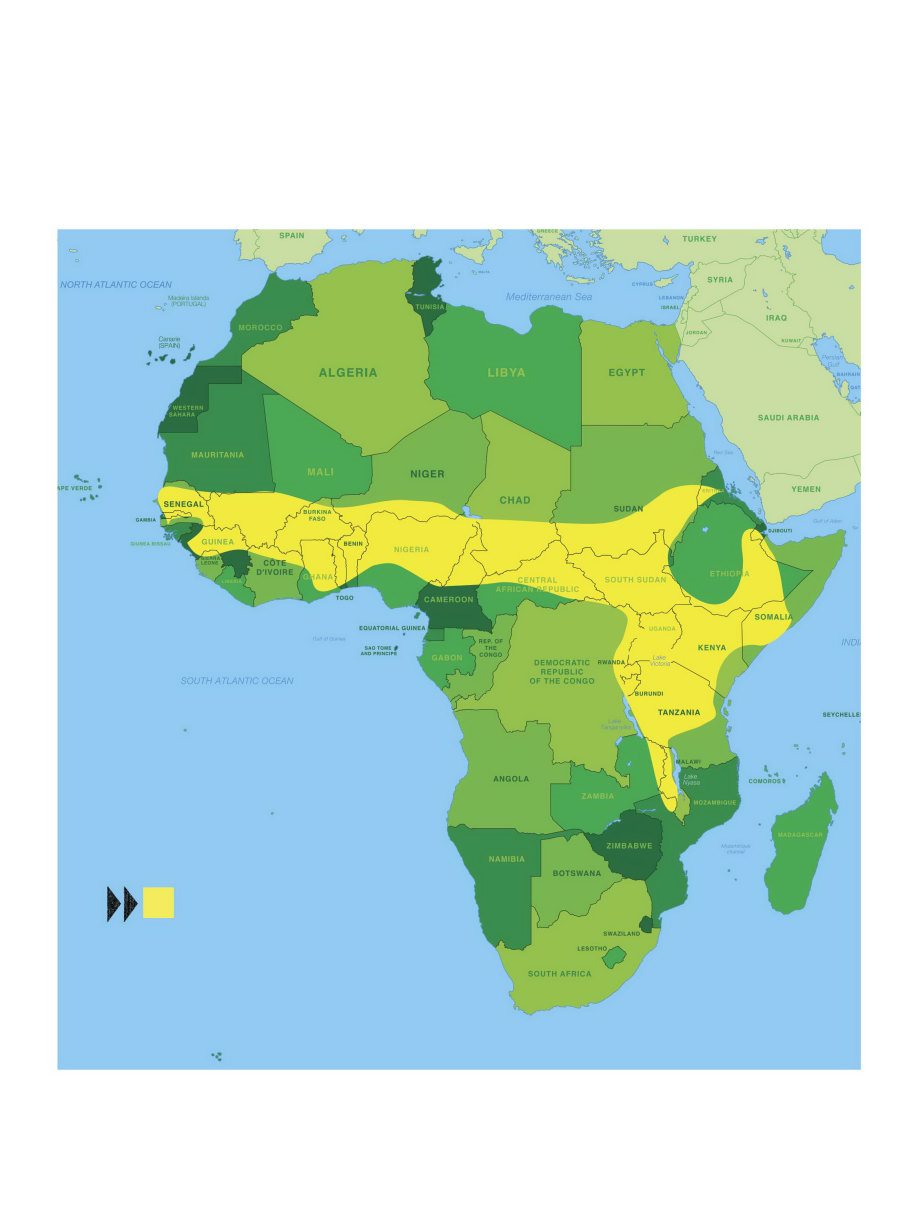 O riginally from Northern and Central Africa they are at home in grasslands - photo 10