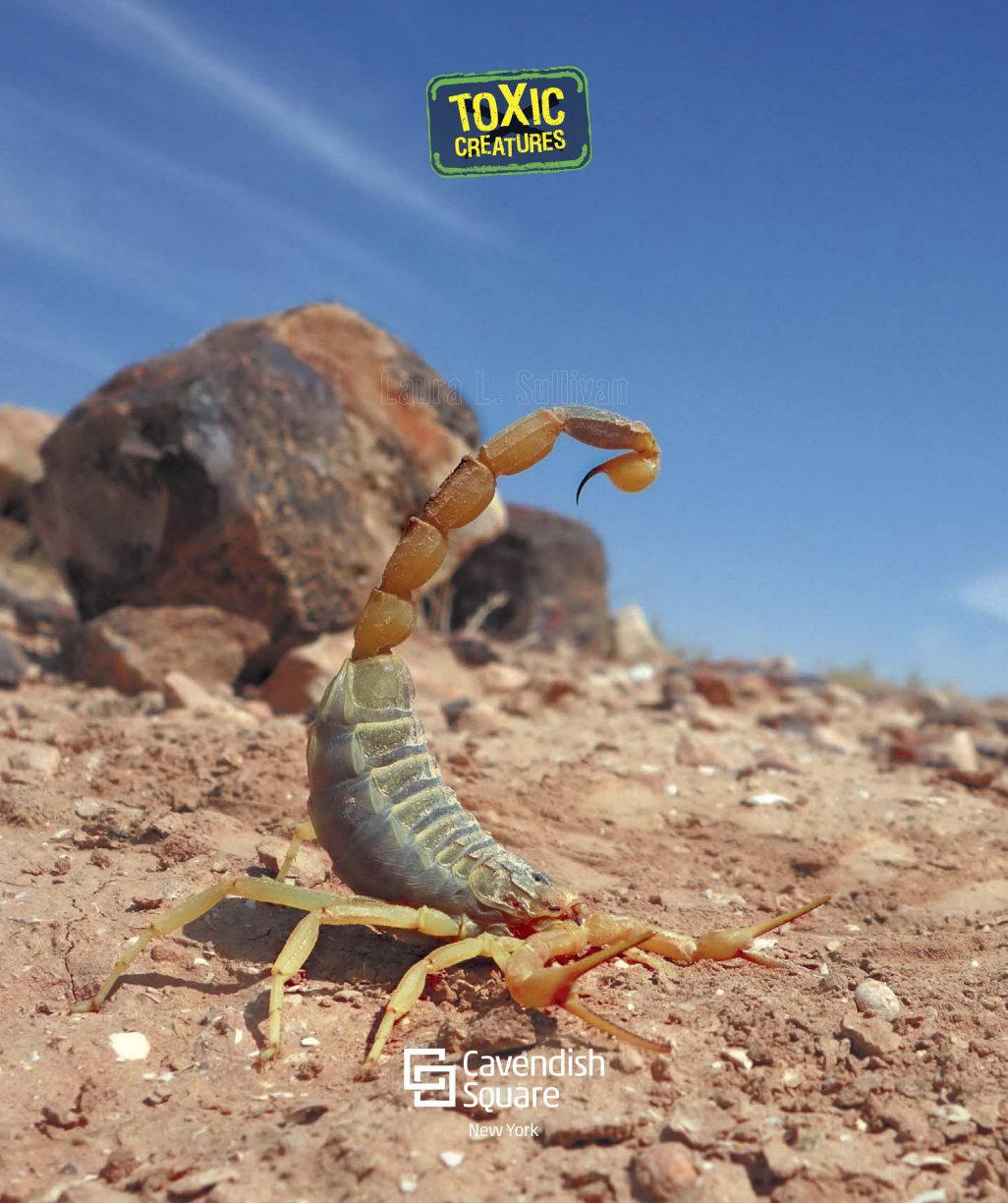 The Deathstalker Scorpion Laura L Sulli van Published in 8 b y - photo 2