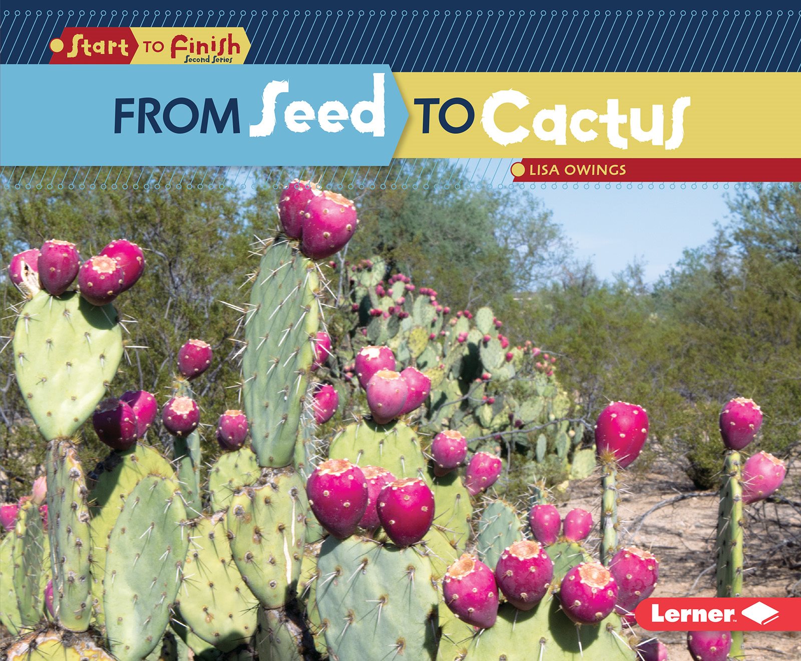 From Seed to Cactus - photo 1