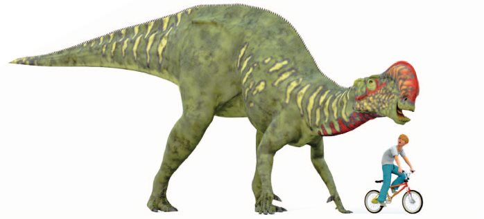 Altirhinus can grow up to 21 feet 65 meters Allosaurus - photo 21