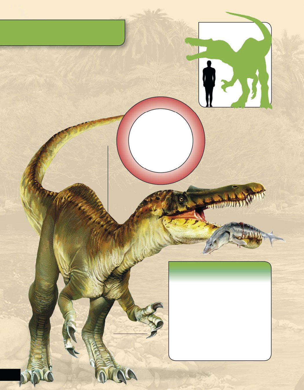 Baryonyx Baryonyx hunted mainly in river deltas the wide places where rivers - photo 13