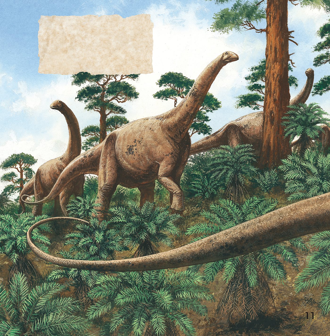 Alamosaurus did not live just in the South It lived on the hills all over - photo 11