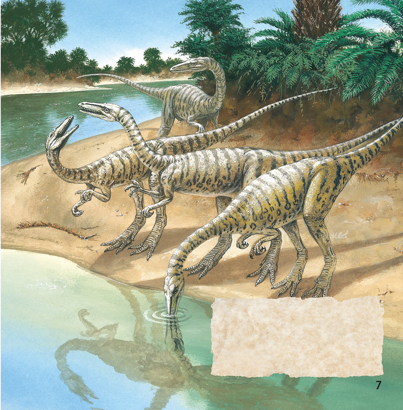 Life was hard in the deserts of early dinosaur times Scientists have found - photo 7