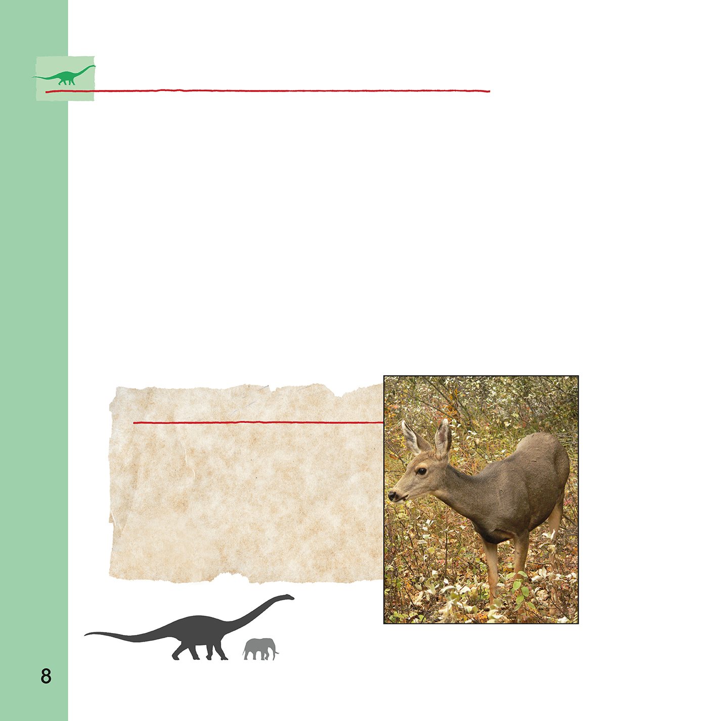 S EISMOSAURUS Pronunciation SIZE- mo- SAW- rus Seismosaurus lived about - photo 8