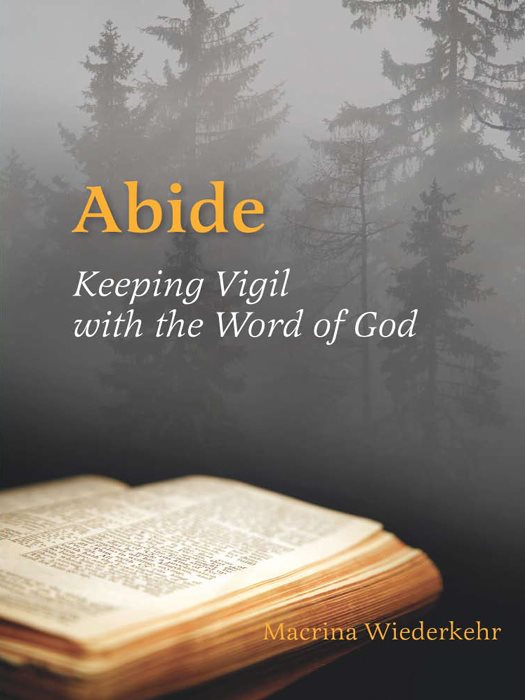 Abide Abide Keeping Vigil with the Word of God Macrina Wiederkehr OSB - photo 1