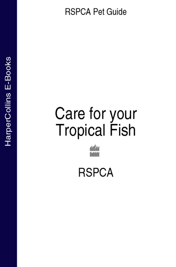 Care For Your Tropical Fish - image 1