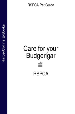 RSPCA Care for your Budgerigar