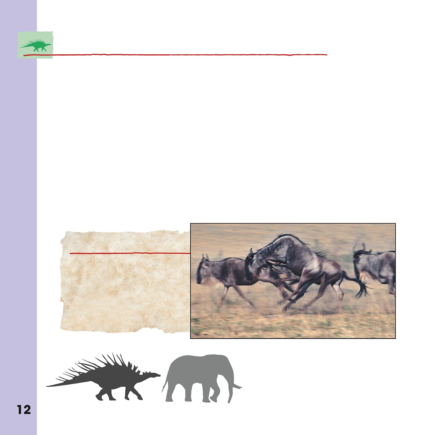 K ENTROSAURUS Pronunciation KEN- tro- SAW- rus Kentrosaurus was an - photo 12