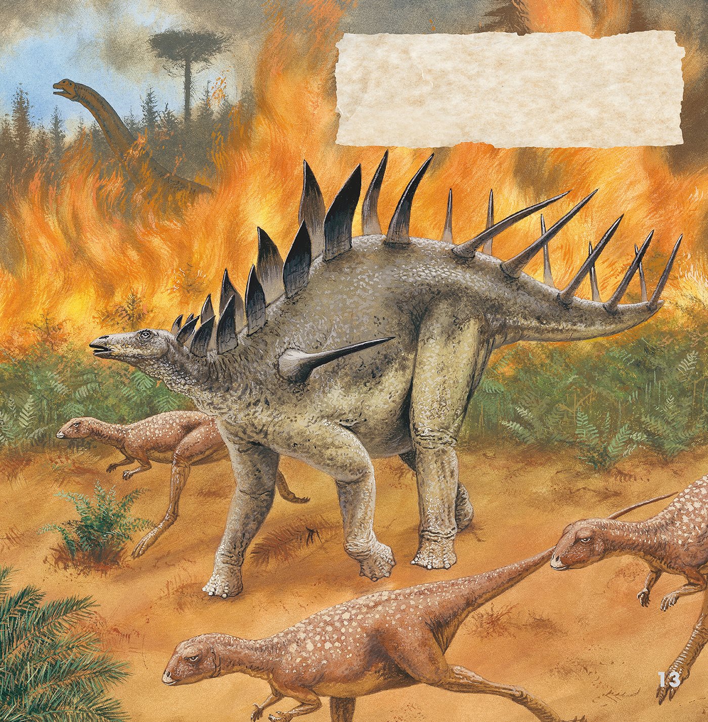 Although weighed down by its armor Kentrosaurus could move quickly to - photo 13