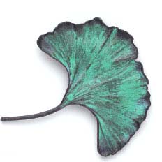 gold-stemmed ginkgo leaf Fabrice In Six Memos for the Next Millennium - photo 15