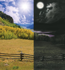 Robin Nelson - Day and Night: Discovering Natures Cycles