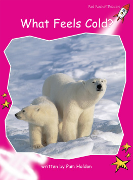 Pam Holden - What Feels Cold?