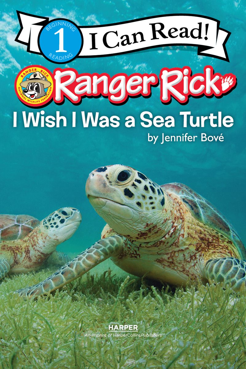 What if you wished you were a sea turtle Then you became a green sea - photo 4