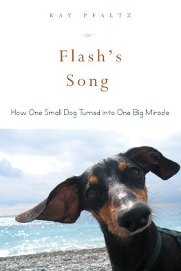 Kay Pfaltz - Flashs Song: How One Small Dog Turned into One Big Miracle