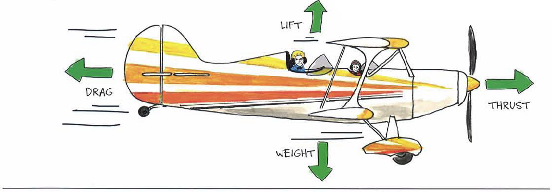 Lift Air molecules passing over the curved top of the wing must travel a - photo 16