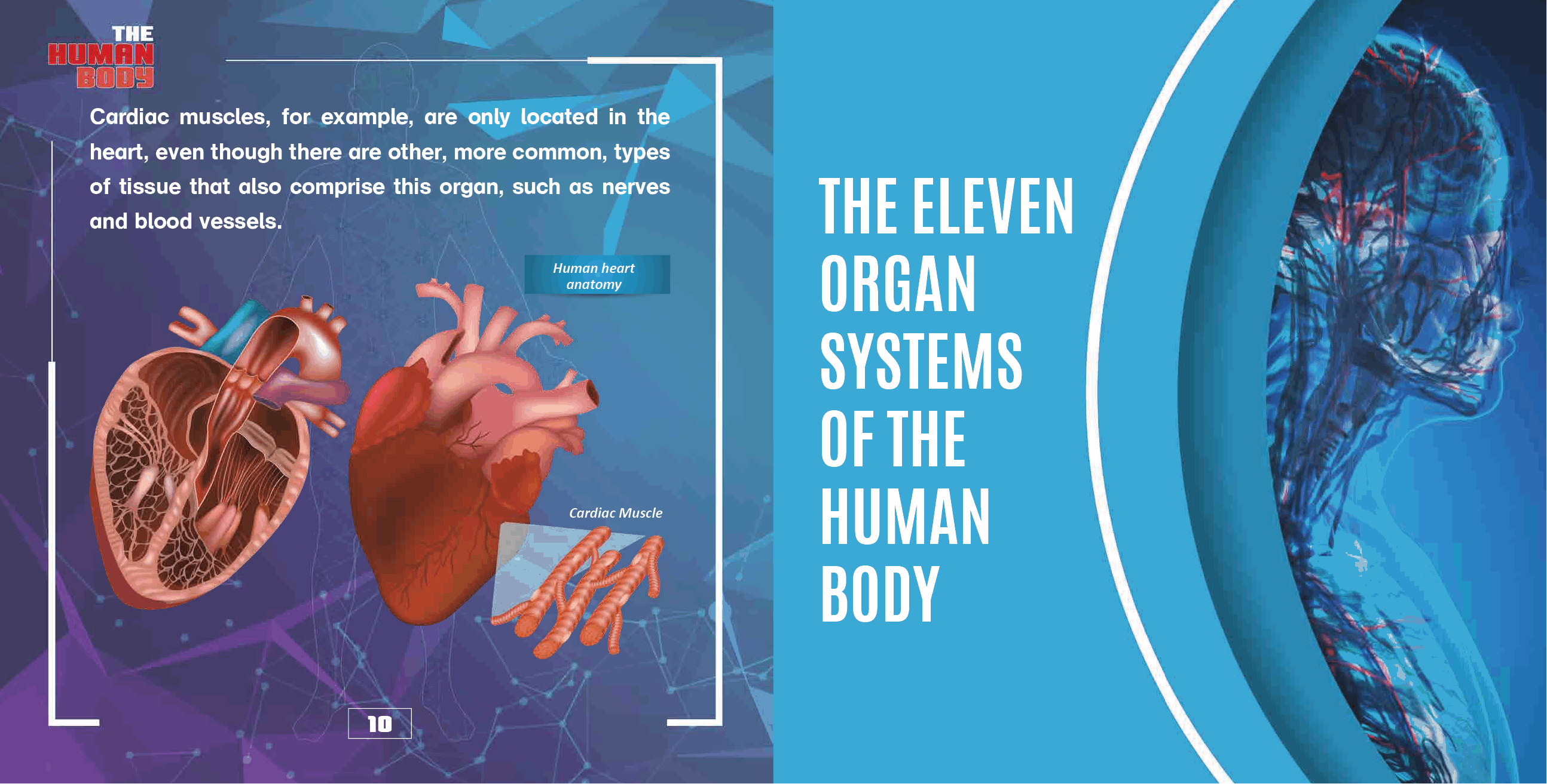 The Human Body Organs and Organ Systems Books Science Kids Grade 7 Childrens Biology Books - photo 12