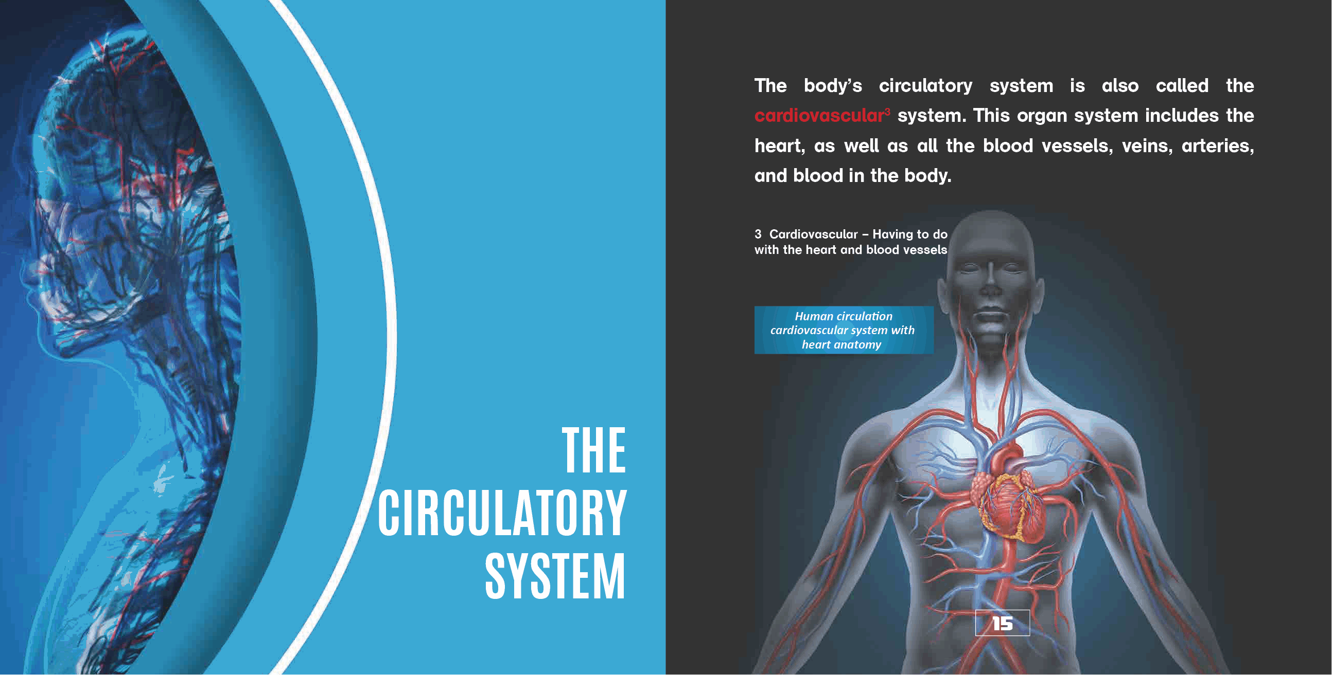 The Human Body Organs and Organ Systems Books Science Kids Grade 7 Childrens Biology Books - photo 16