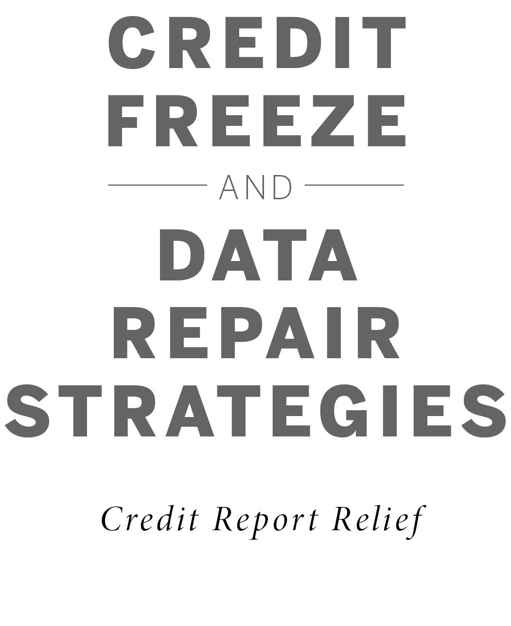 Credit Freeze and Data Repair Strategies Credit Report Relief ISBN Print - photo 2