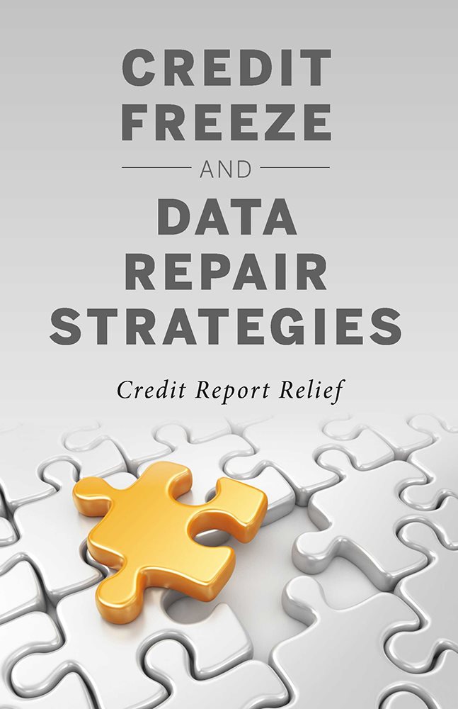 Credit Freeze and Data Repair Strategies Credit Report Relief ISBN Print - photo 1