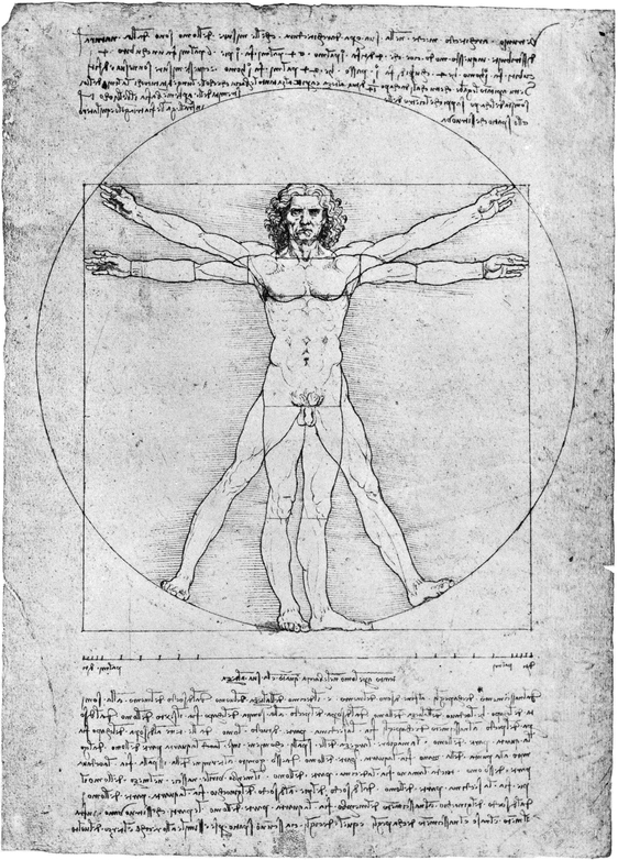 21 Diagram of human proportions 148590 Pen Venice Accademia 22 - photo 22