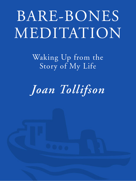 A wonderful piece of writing and meditation teaching Joan Tollifson moves - photo 1