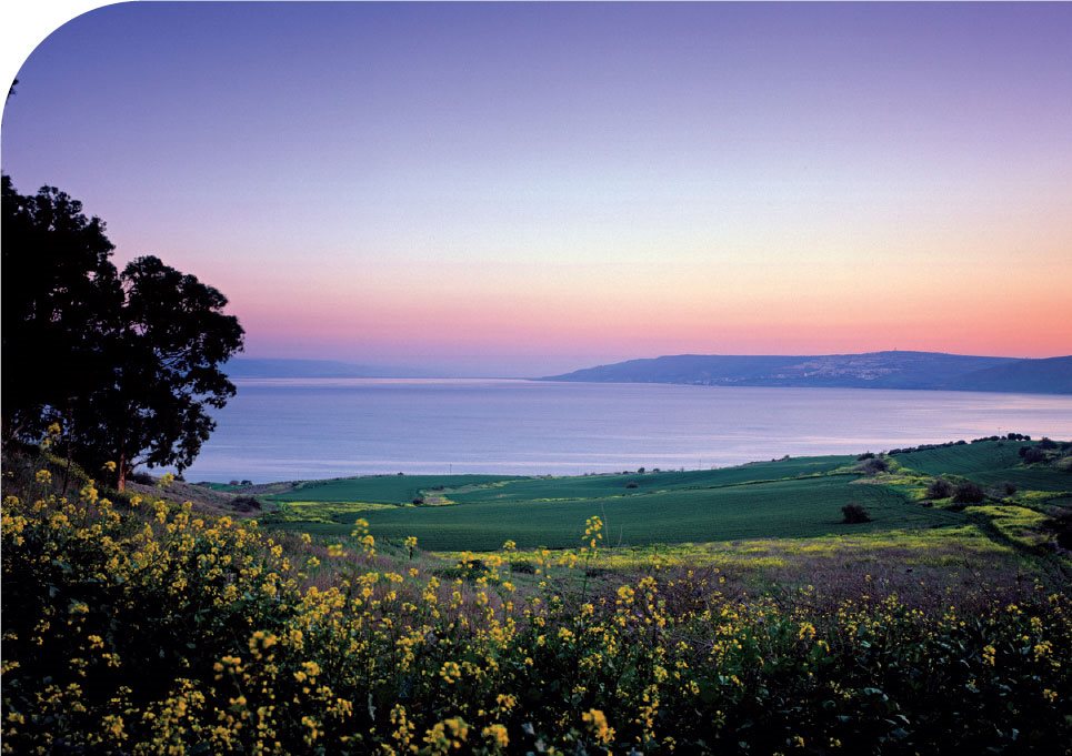 Sea of Galilee The tranquil shores of this lake are steeped in New Testament - photo 17