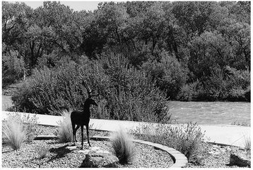 Fry and his friends played vampire games in this park along the Animas Spirit - photo 6