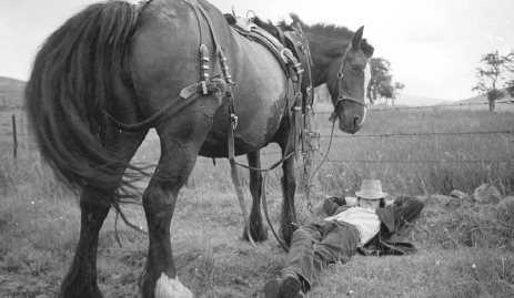 CONTENTS Irish Travellers FROM TINKERS TO TRAVELLERS T HE TRAVELLING PEOPLE - photo 6