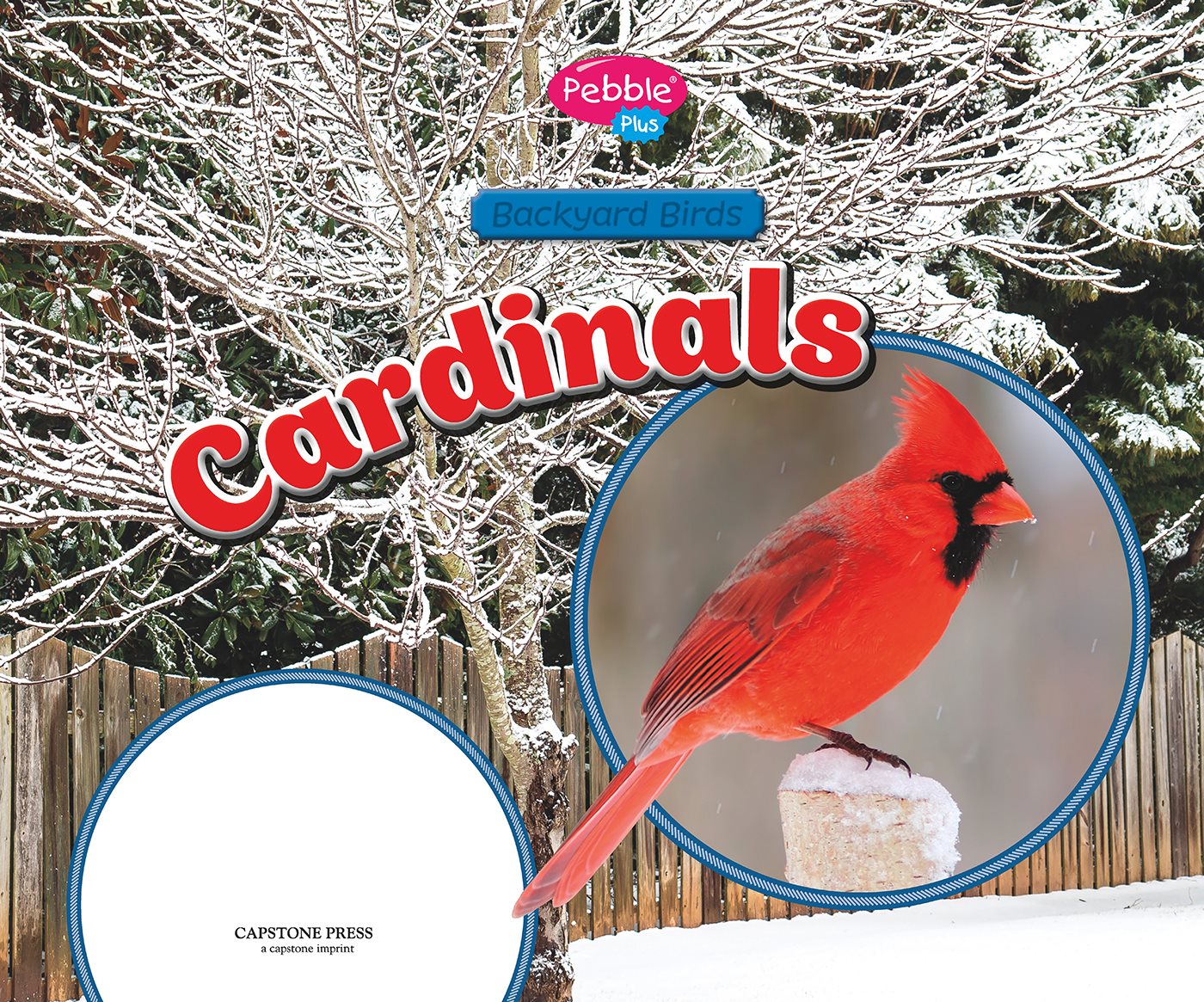 Backyard Birds by Lisa J Amstutz Consulting Editor Gail Saunders- - photo 1