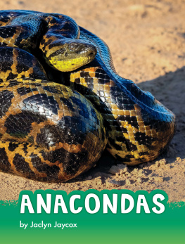 Jaclyn Jaycox Anacondas