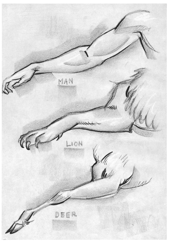 Human and Animal Arms and Legs Compared in Similar Movement BASIC FORMS - photo 8